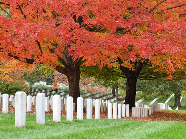 Calendario esumazioni 2024 - Cimitero Capoluogo di via Cividale